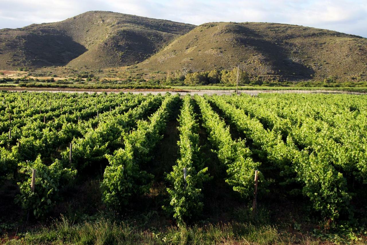 Tanagra Wine & Guestfarm Apartment McGregor Luaran gambar